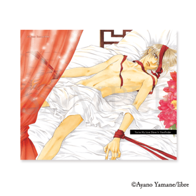 マイクロファイバークロス［4］