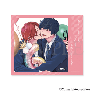 マイクロファイバークロス[6]