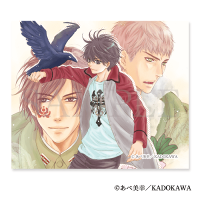 マイクロファイバークロス［4］