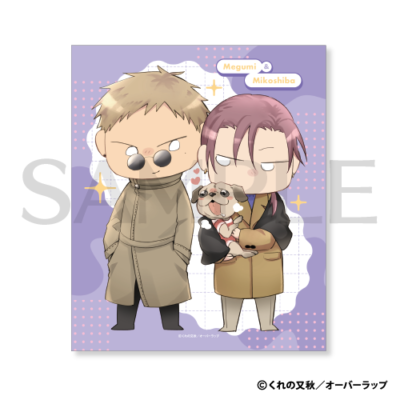 マイクロファイバークロス［3］