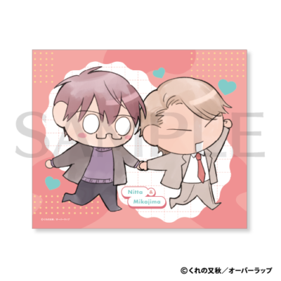 マイクロファイバークロス［4］