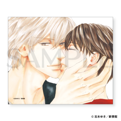 マイクロファイバークロス ［一見×糸川］