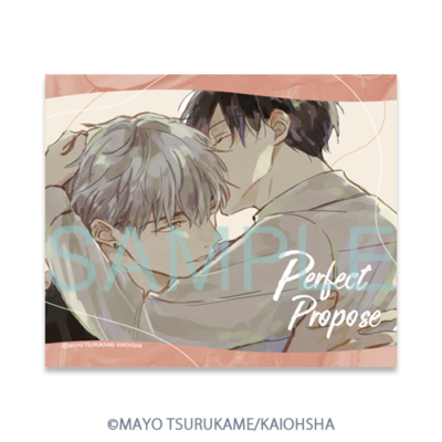 マイクロファイバークロス［2］